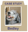 bedley